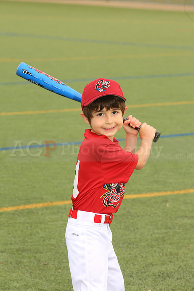 SB_TB_Ironpigs00007