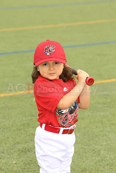 SB_TB_Ironpigs00045