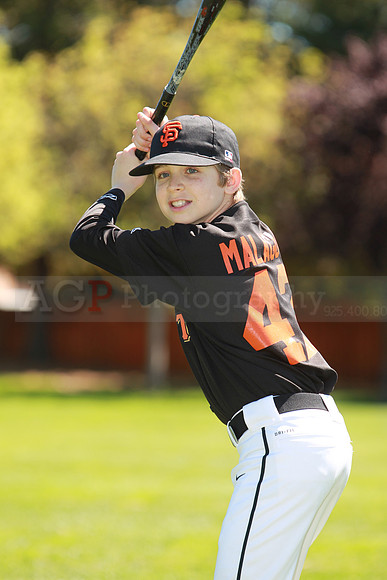 MGiants100