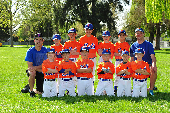 AA METS070