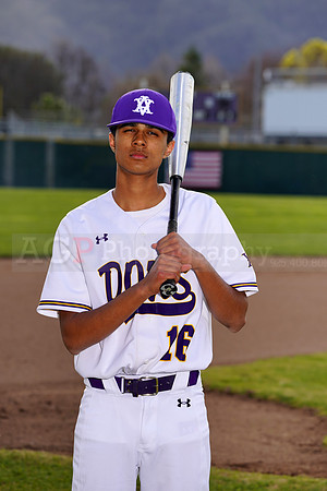AVHS_JV_BB_Team00146