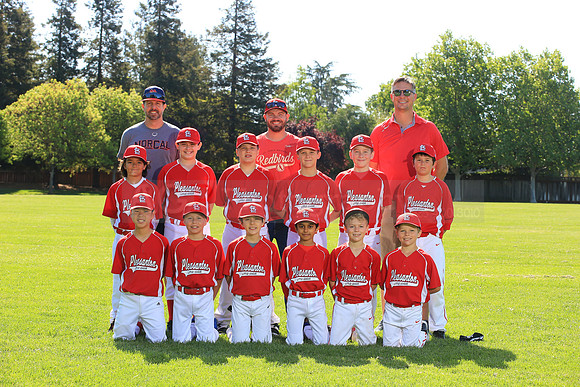 PLL_AAA_Cardinals00080