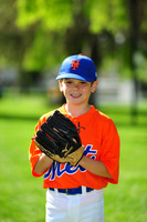 AA METS002