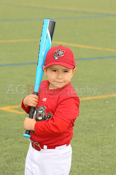 SB_TB_Ironpigs00031