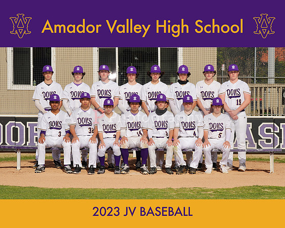 AAVS_JV Baseball
