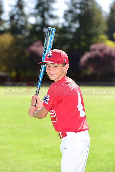 MCardinals0036