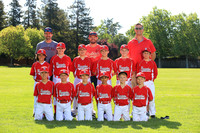 AAA CARDINALS