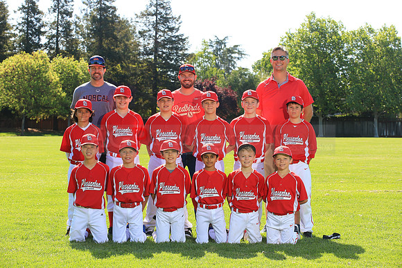 PLL_AAA_Cardinals00079