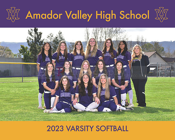 AAVHS_Varsity_Softball_Team