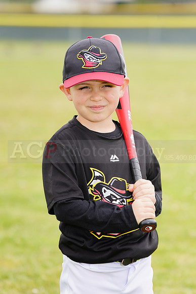 AGP09081
