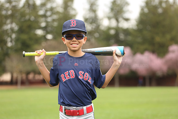 AARedsox060