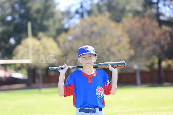 AAACubs070