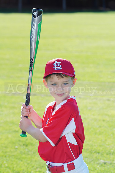 PLL_A_Cardinals00040