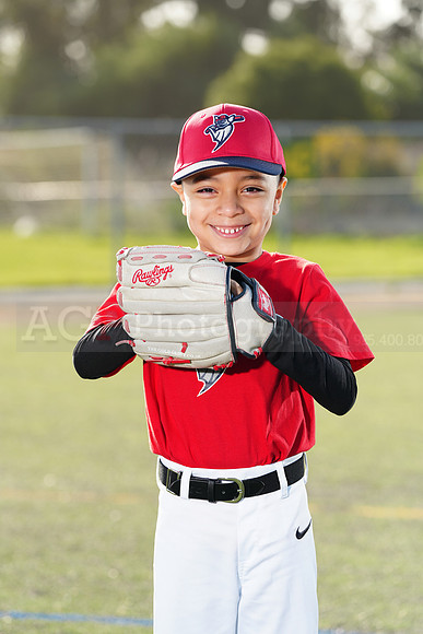 SB_TB_Bats060