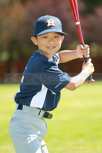 AAAstros048