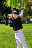 TBMarlins020