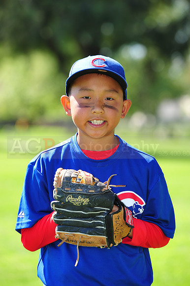 AAACubs006