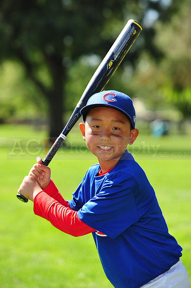 AAACubs007
