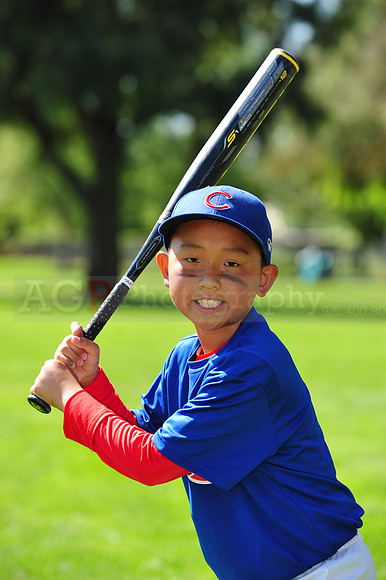 AAACubs008