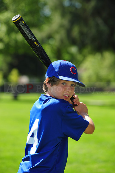 AAACubs013