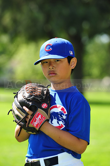 AAACubs019