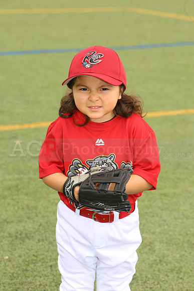 SB_TB_Ironpigs00040