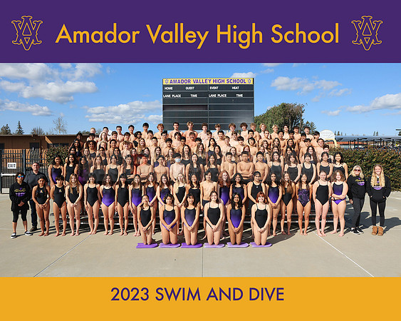 AAVHS Swim Dive Team Photo A