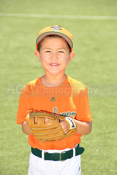 SB_TB_Grasshoppers00044