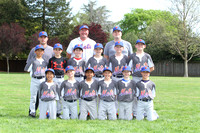 AAA METS