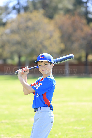 AAACubs028