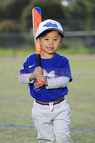SB_TB_IronBirds040