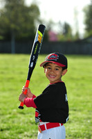 TBMudcats012