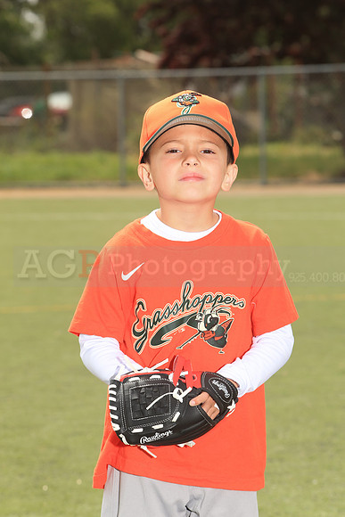 TBGrasshoppers00044