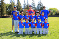 AAA CUBS