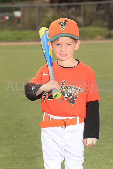 TBGrasshoppers00055