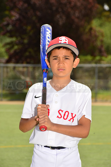 PWRedSox00007