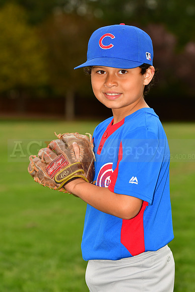 AAACubs028