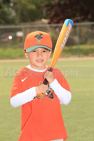 TBGrasshoppers00047