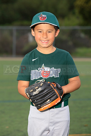 TBTinCaps00025