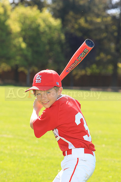 PLL_AAA_Cardinals00026