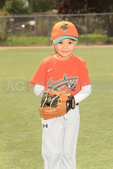 TBGrasshoppers00037