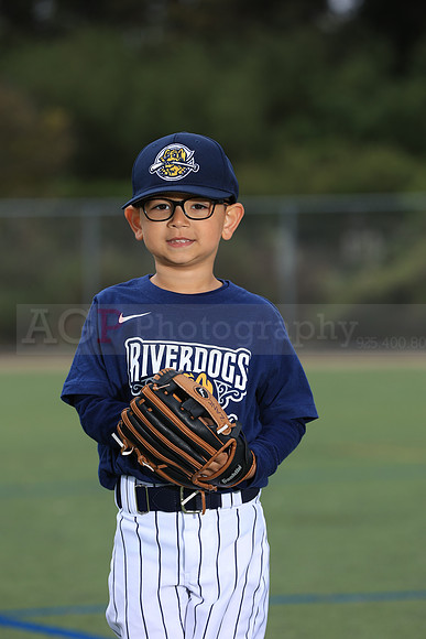 TBRiverdogs00083