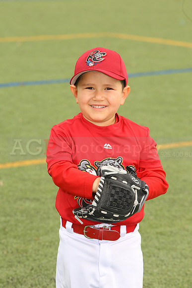 SB_TB_Ironpigs00024