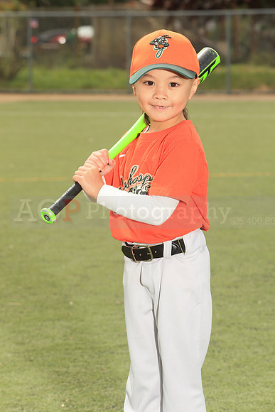 TBGrasshoppers00032