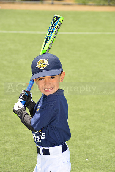 SB_TB_Riverdogs00046