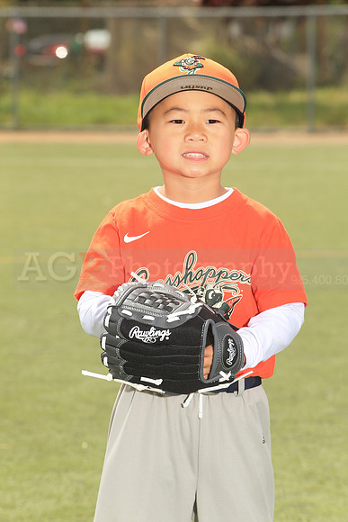 TBGrasshoppers00018