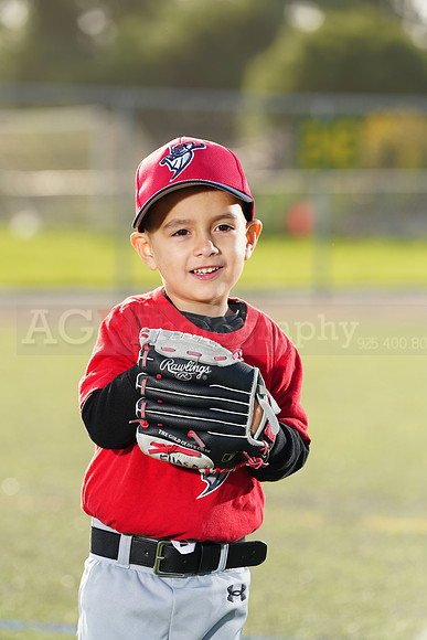 SB_TB_Bats040