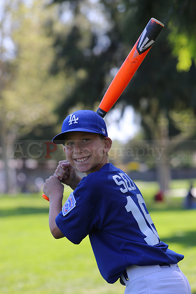 MajorDodgers050