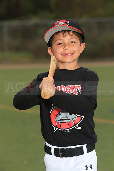 TBMudcats00033