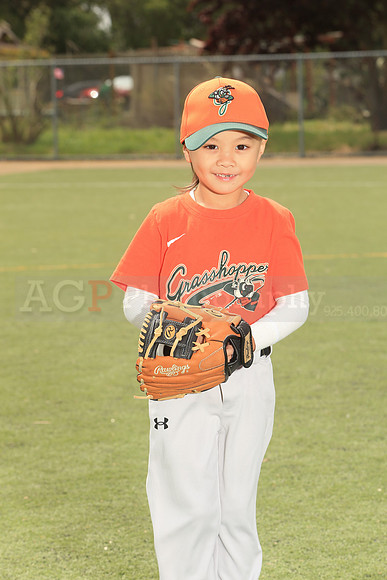 TBGrasshoppers00036